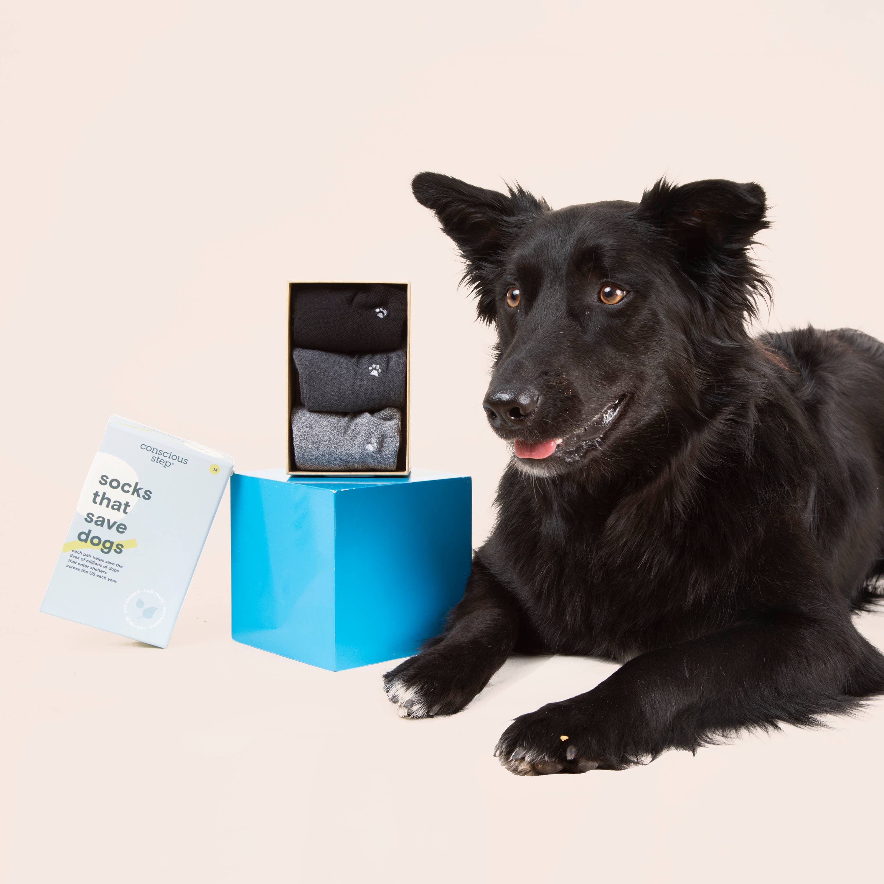 Conscious Step: Boxed Set Ankle Socks that Save Dogs