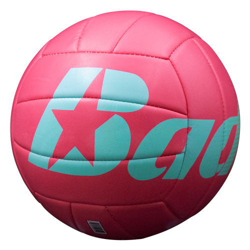 Baden Sports Paradise Volleyballs