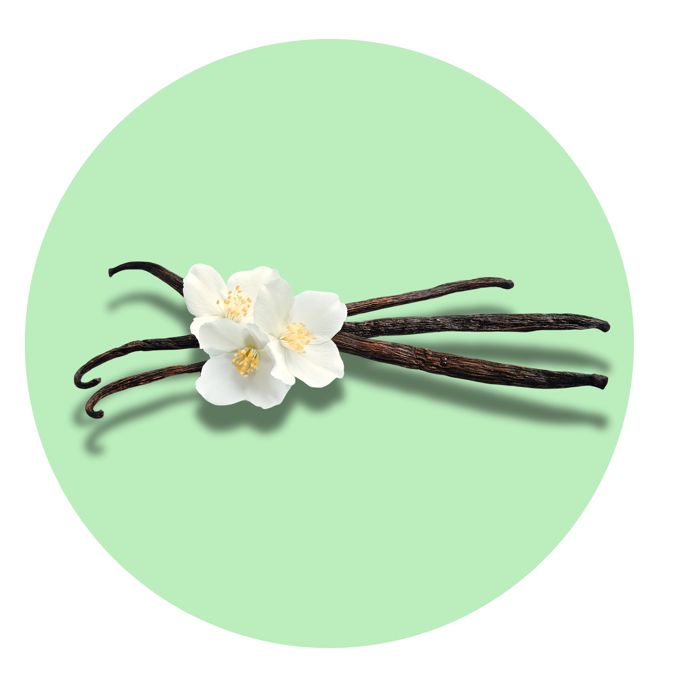 ēma fragrance Solid Perfume Pod – Vanilla