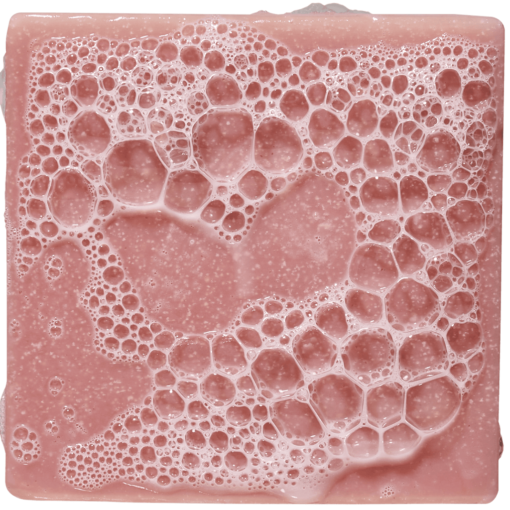 Dr. Squatch: Sea Star Shenanigans Bar Soap