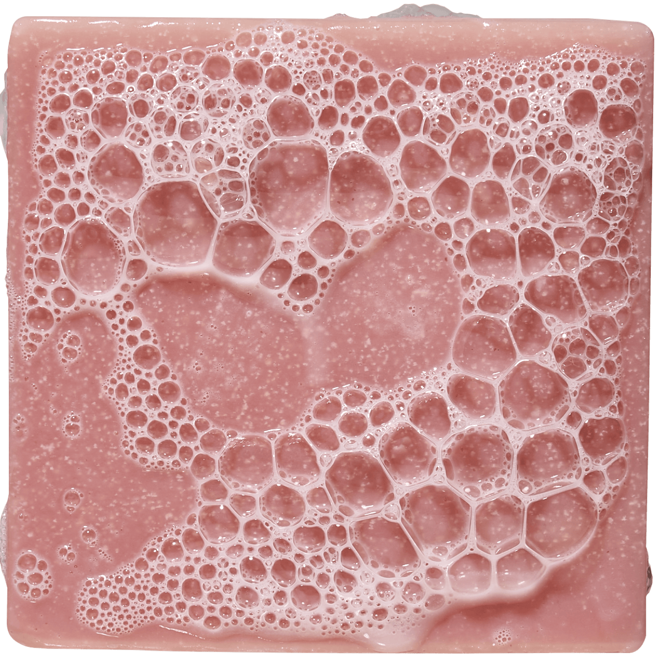 Dr. Squatch: Sea Star Shenanigans Bar Soap